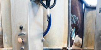 How to understand your milk quality report Vale Wood Farms