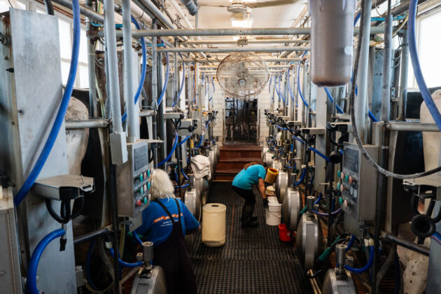 Milking parlour