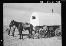 Taking the time to appreciate the conveniences of modern life