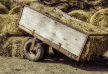 Hauling memories and dreams in a little wagon wagon
