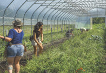 Housing development in southwestern Ohio couples farm life with suburban life Aberlin Springs farm crew