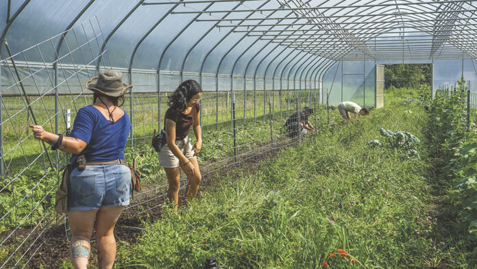 Aberlin Springs farm crew