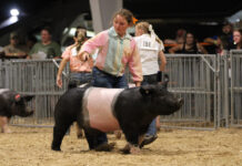 Fayette County 4-H’er donates $27,000 to build new barn Harper Diamond