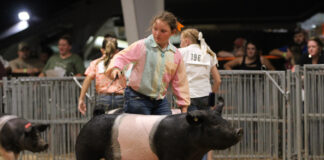 Fayette County 4-H’er donates $27,000 to build new barn Harper Diamond