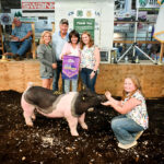 2025 Butler County Junior Livestock Sale (Butler Farm Show)