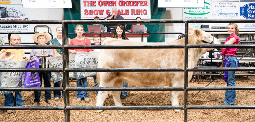 GRAND CHAMPION STEER; LARISSA FANO