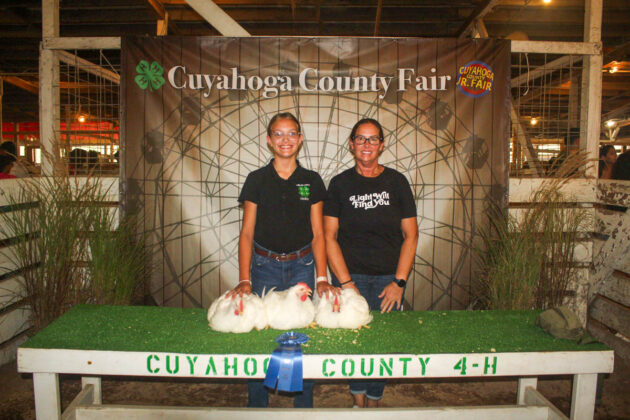 GRAND CHAMPION CHICKENS