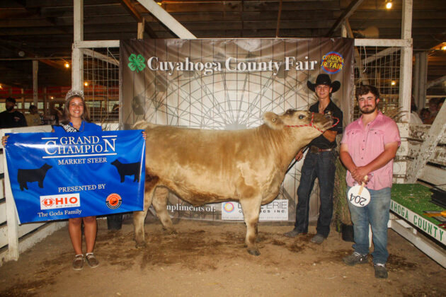 GRAND CHAMPION STEER