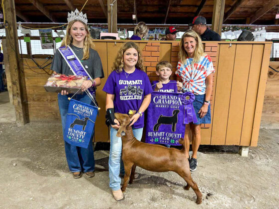 GRAND CHAMPION MARKET GOAT: BRIDGET CARSEY