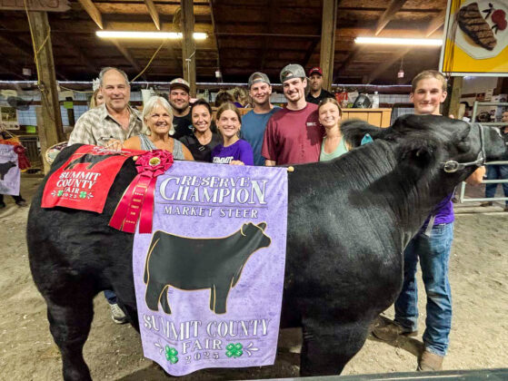 RESERVE CHAMPION MARKET STEER: JOSH YOUNG