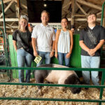 2025 Waterford Community Junior Fair Sale results