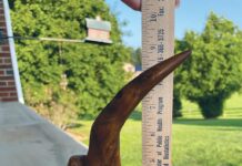 Help us identify Item No. 1292 Item No. 1292