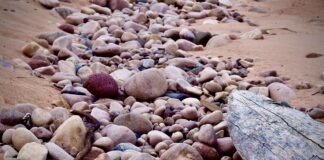 Find the time to savor the moment as you watch your children grow lake superior