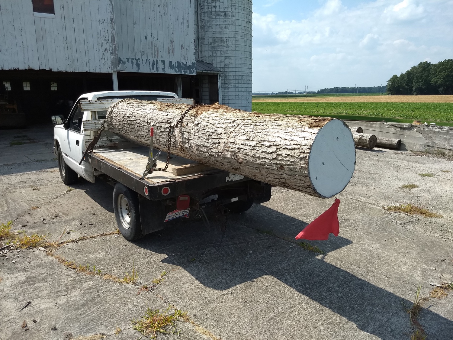 Moser Woods Tree Farm