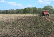 Affirmative defense can help protect agricultural producers Nutrient Application