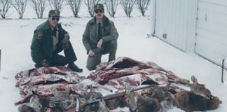 A warden’s review of Ohio’s deer hunting Jim Abrams and deer