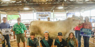 2025 Jefferson County Fair Junior Livestock Sale results