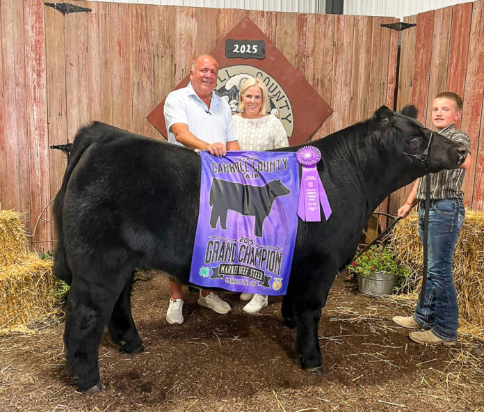 GRAND CHAMPION MARKET BEEF STEER: GRANT D THOMPSON