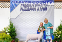 2025 Beaver County Stockman’s Club Sale at the Hookstown Fair