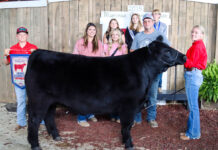 2025 Monroe County Junior Fair Livestock Sale results