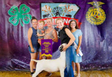 Lawrence County 4-H and FFA Junior Livestock Sale