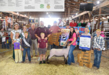 2025 Noble County Junior Fair Sale results