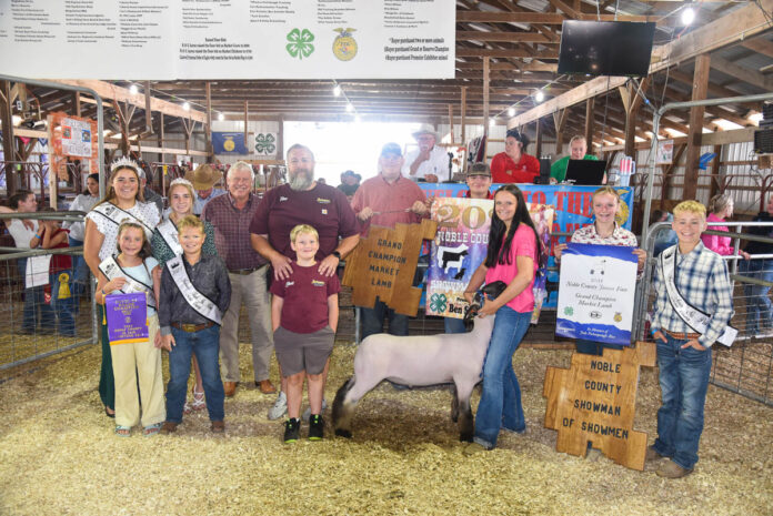 GRAND CHAMPION MARKET LAMB: LYNDI SCHAFER