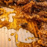 How to use honey for healing Matt Partsch honey