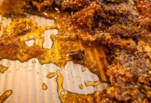 How to use honey for healing Matt Partsch honey