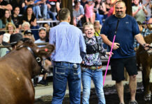 Claire Coumos claims grand champion beef banner at Portage County Randolph Fair claire coumos