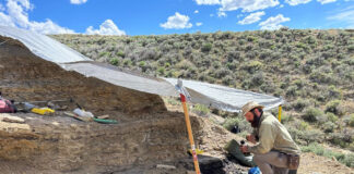 Cincy Museum fossil collection grows after summer field season dig