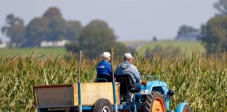 Anger is building while solutions are fleeting farmers