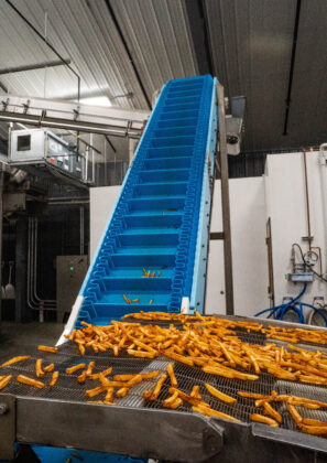 Folkland Foods French fry factory