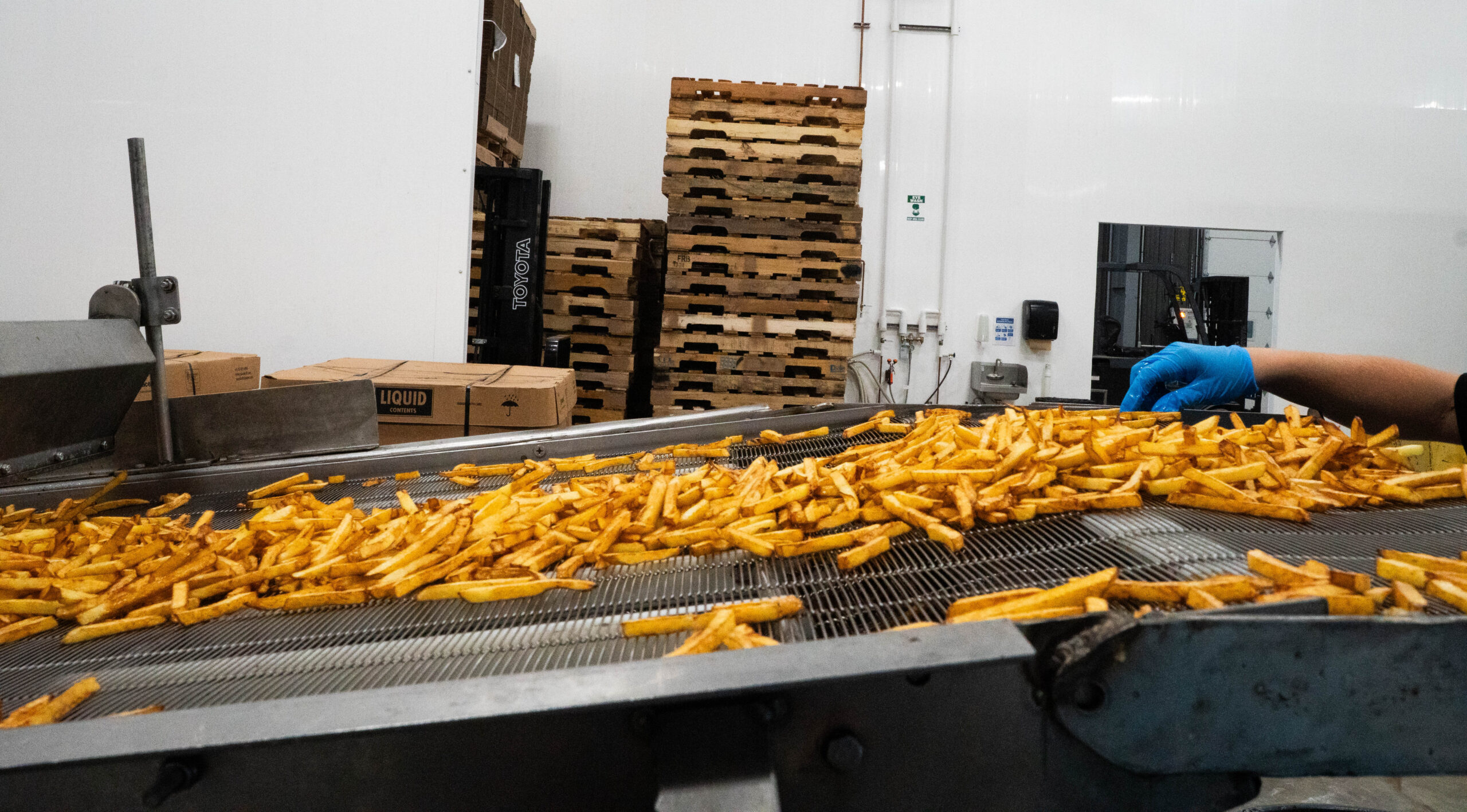 Folkland Foods organic French fries