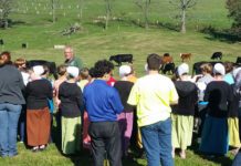 Let’s get those kids to a farm students on pasture