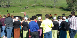 Let’s get those kids to a farm students on pasture