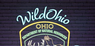 Get to know the WildOhio podcast crew wildohio podcast header