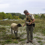 Pa. humane officers fight for animals with little support