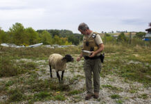 Pa. humane officers fight for animals with little support