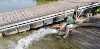 Muskies stocked in select Ohio lakes 20,000 muskies