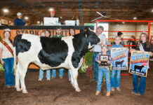 2025 Stark County Junior Fair Sale results