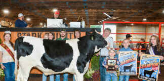 2025 Stark County Junior Fair Sale results