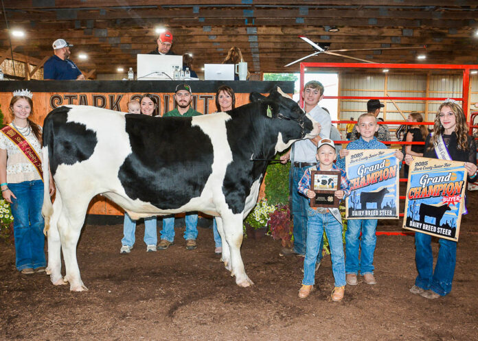 GRAND CHAMPION DAIRY MARKET STEER: BRAYLON BATTERSHELL