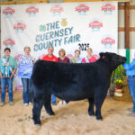 2025 Guernsey County Junior Fair Sale results