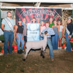 2025 Delaware County Junior Fair Sale results