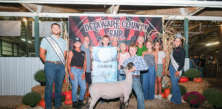 2025 Delaware County Junior Fair Sale results