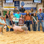 2025 Tuscarawas County Junior Fair Sale results