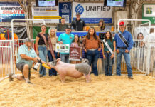 2025 Tuscarawas County Junior Fair Sale results