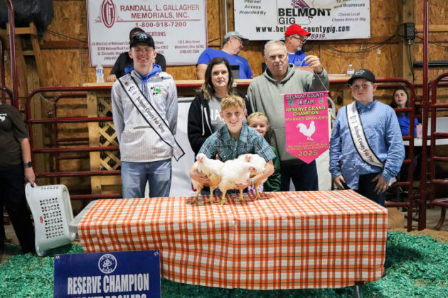 RESERVE CHAMP MARKET BROILERS: KLASE ANDERSON