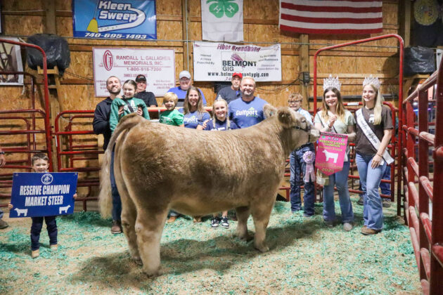 RESERVE CHAMPION MARKET STEER : BO RUSSELL